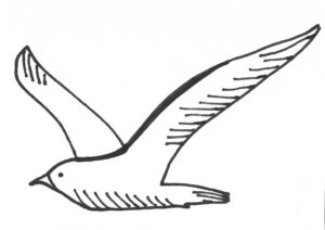 La Gaviota